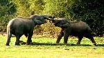 1467705327_2manas 3.jpg